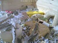Ham Cam 2 14-12-2023, 12-40-05.webp
