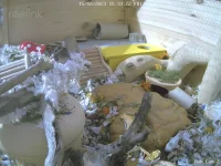 Ham Cam 2_live_1702654399484.webp