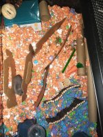 IMG_20231216_203934.jpg