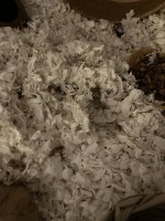IMG_1217.jpeg