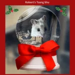 Day 4 Robert's Tsang Shu.webp
