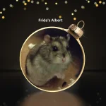 Day 6 Frida's Albert.webp