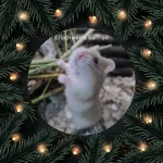 Day 15 Eriathwen's Saffron.webp