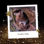 Day 22 Emx93's Teddy.webp