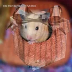 Day 23 The Hamographer's Charlie.png