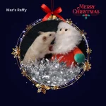 Day 24 Maz's Raffy.webp
