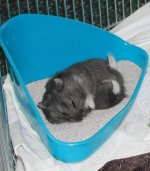 IMG_1065.jpeg
