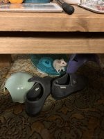 IMG_1234.jpeg