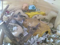 Ham Cam 2 01-01-2024, 10-24-20.webp