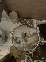 IMG_8440.jpeg