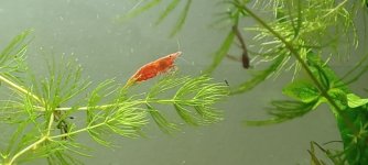 20230803_190900.jpg