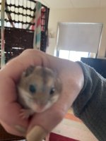 IMG_7737.jpeg