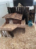 IMG_1504.jpeg