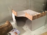 IMG_1284.jpeg