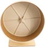 10 inch Getzoo plastic wheel.jpg