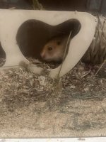 IMG_6832.jpeg
