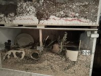IMG_6856.jpeg
