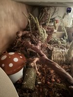 IMG_6858.jpeg