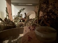 IMG_6857.jpeg