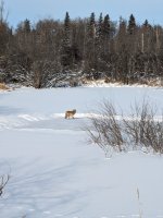 PXL_20240115_195635094.jpg