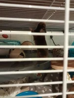IMG_7253.jpeg
