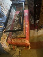 IMG_7788.jpeg