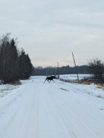PXL_20240121_001234475.jpg