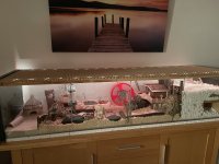 IMG_1535.jpeg