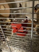 IMG_1336.jpeg
