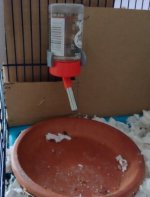 IMG_20240130_120703184~2.jpg