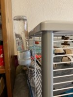 IMG_7304.jpeg