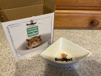 IMG_7306.jpeg