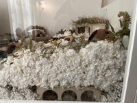 IMG_0626.jpeg