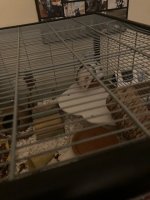 thumbnail_IMG_1369.jpg thumbnail_IMG_1369.jpg
