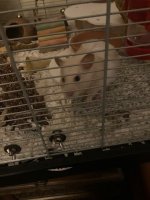 thumbnail_IMG_1371.jpg thumbnail_IMG_1371.jpg