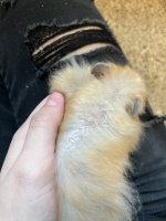 IMG_3418.jpeg