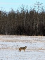 PXL_20240213_180426653~3.jpg