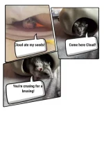 Valentine comic 2.webp