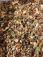 IMG_1447.jpeg