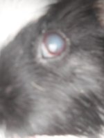 20240220_100501.jpg