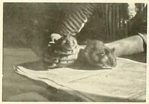 SkR8w3WsanwU0I8nlsH2dkfIVYjy5FozH9GWti5bXOp4RLxatU.png SkR8w3WsanwU0I8nlsH2dkfIVYjy5FozH9GWti5bXOp4RLxatU.png