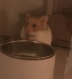 Screenshot 2024-02-24 at 14.37.19.webp