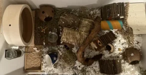 IMG_0661.webp IMG_0661.webp