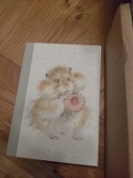DSC_1435.JPG