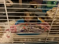 IMG_7424.webp IMG_7424.webp