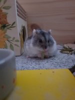 20240308_080705.jpg