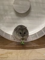 IMG_3382.jpeg