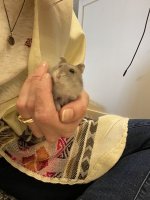 IMG_3353.jpeg