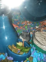 IMG_20231216_122533.webp IMG_20231216_122533.webp