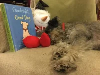 IMG_3200.webp IMG_3200.webp